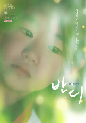 반디